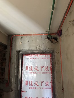 金茂悦