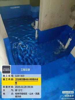 【桂林业之峰装饰】山水凤凰城