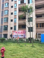 垫江中央华府8栋2单元1-1