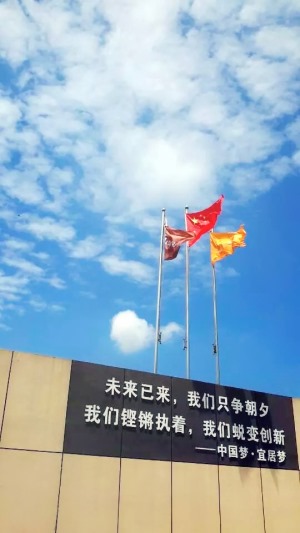 公司介绍