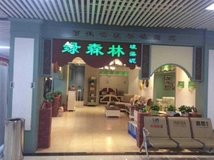 公司介绍